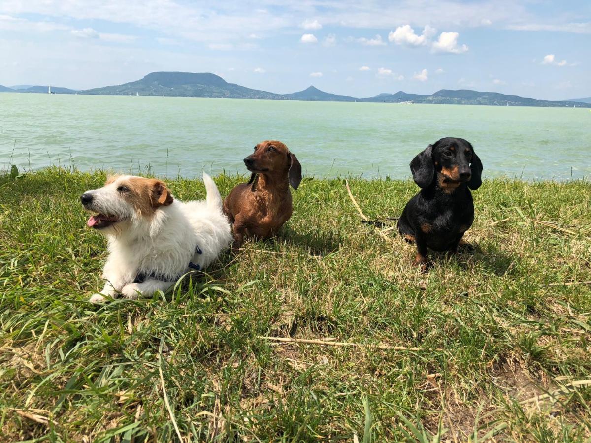 Iker Nyaralo Balatonfenyves Apartment Luaran gambar